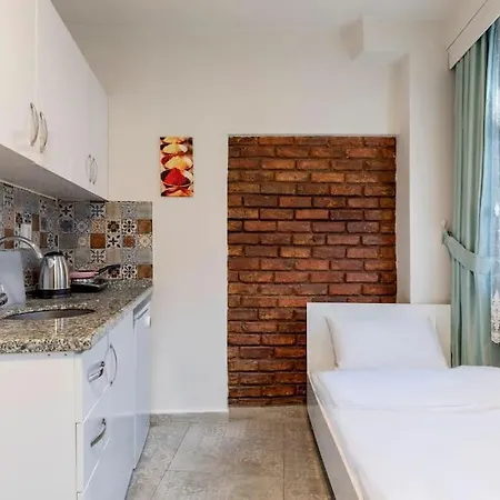 Cozy & Comfy Studio At Beyoglu - 63 דירה